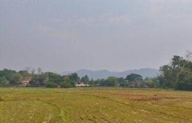 ที่นาวิวเขา ไฟน้ำพร้อม อ,แม่แตง จ.เชียงใหม่