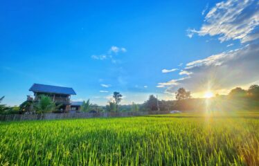 บ้านสวนบรรยากาศดี สไตล์รีสอร์ท น้ำดีดินดี วิวเขาวิวทุ่งนา 360 องศา