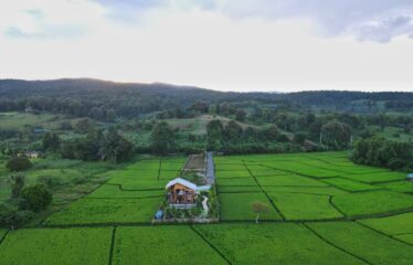 บ้านสวนบรรยากาศดี สไตล์รีสอร์ท น้ำดีดินดี วิวเขาวิวทุ่งนา 360 องศา