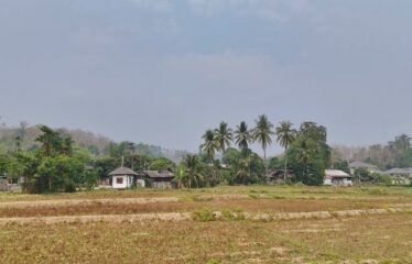 ที่นาวิวเขา ไฟน้ำพร้อม อ,แม่แตง จ.เชียงใหม่