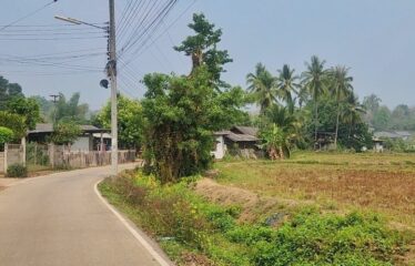 ที่นาวิวเขา ไฟน้ำพร้อม อ,แม่แตง จ.เชียงใหม่