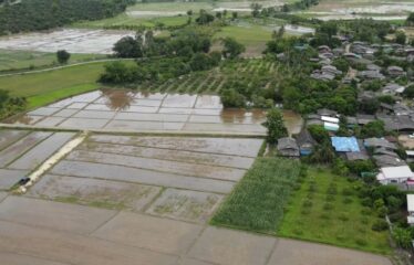 ขายที่นาแปลงสวยมีถนนเข้าออก วิวเขาวิวทุ่งนา โฉนดน้ำดีดินดี ที่ตั้ง ต.บ้านเป้า อ.แม่แตง จ.เชียงใหม่