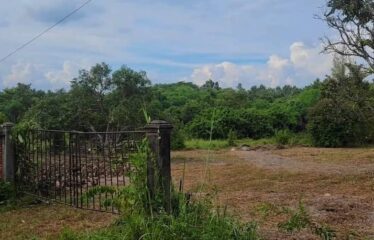 ขายที่ดินแปลงสวยราคาไม่แพง ใกล้ ร.ร เปรมนานาชาติ ที่ตั้ง ต.ห้วยทราย อ.แม่ริม จ.เชียงใหม่