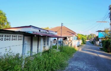 ขายที่ดิน 2 แปลง ไฟฟ้าน้ำประปาพร้อม โฉนดพน้อมโอน อยู่ในแหล่งชุมชน ที่ตั้ง ต.สันโป่ง อ.แม่ริม จ.เชียงใหม่