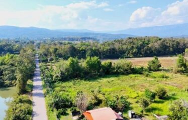 ขายที่ดินแปลงสวยราคาถูก ติดถนนลาดยาง ไฟฟ้า น้ำพร้อม มีวิวเขา วิวทุ่งนา ติดลำห้วยแม่ป๋อง