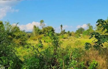 ขายที่ดินแปลงสวยราคาถูก ติดถนนลาดยาง ไฟฟ้า น้ำพร้อม มีวิวเขา วิวทุ่งนา ติดลำห้วยแม่ป๋อง