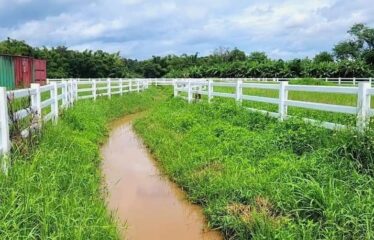 ที่ดิน สวยทำเล ใกล้ ร.ร เปรมนานชาติแม่ริม อ.แม่ริม จ.เชียงใหม่