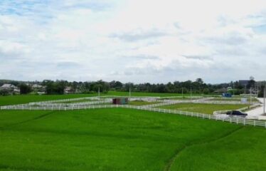 ที่ดิน สวยทำเล ใกล้ ร.ร เปรมนานชาติแม่ริม อ.แม่ริม จ.เชียงใหม่